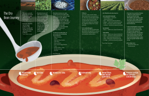The Dry Bean Journey graphic